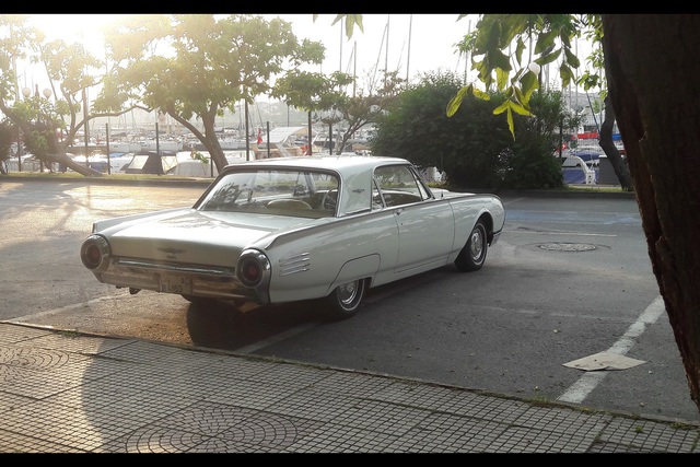 Ford Thunderbird 390 cid. (1961) - 12