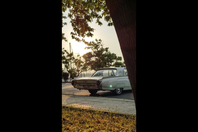 Ford Thunderbird 390 cid. (1961) - 25