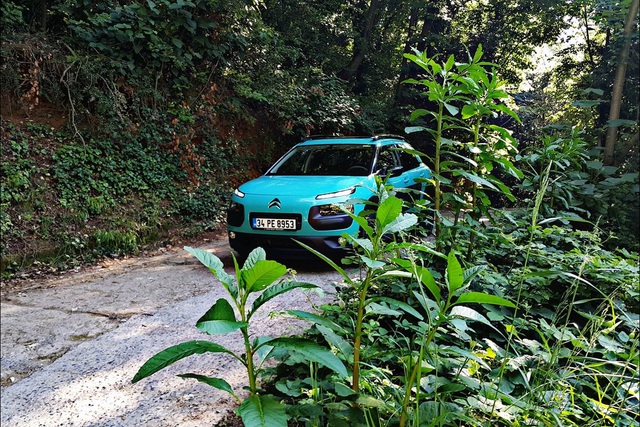 Citroen Cactus 1.6 E-HDi - 7