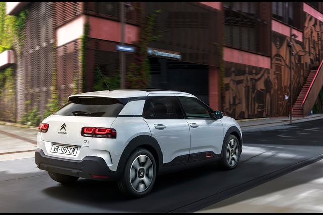 C4 Cactus makyajlandı - 15